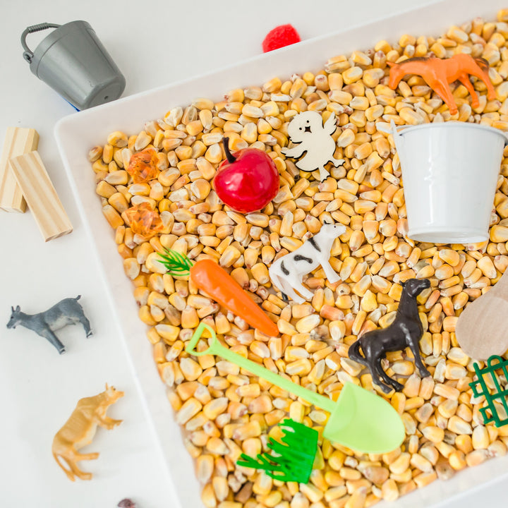 Farm Sensory Kit