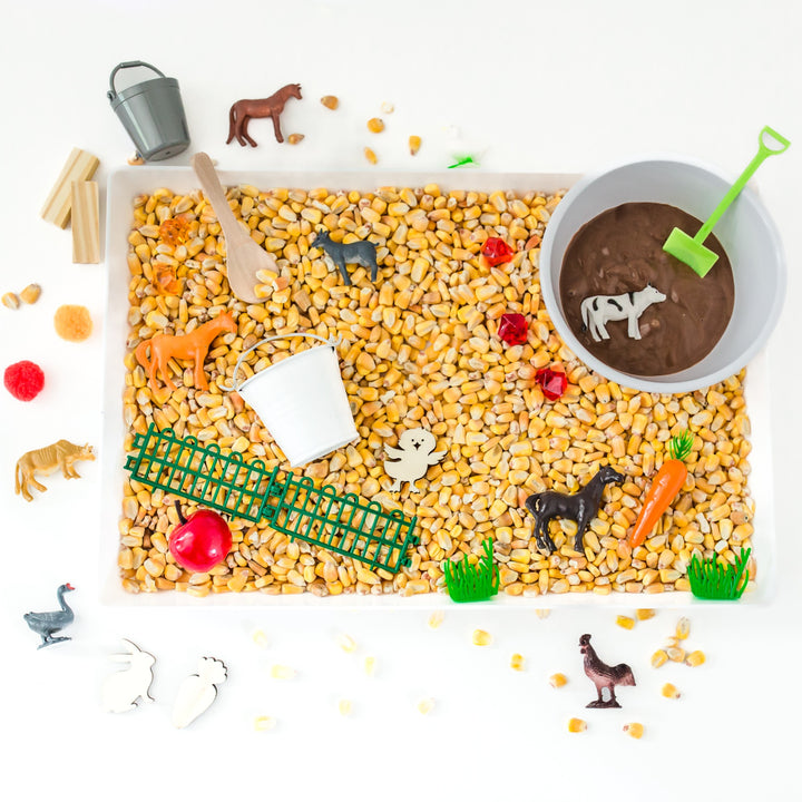 Farm Sensory Kit