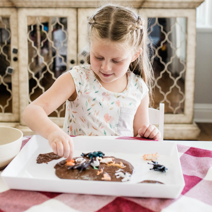 Farm Sensory Kit